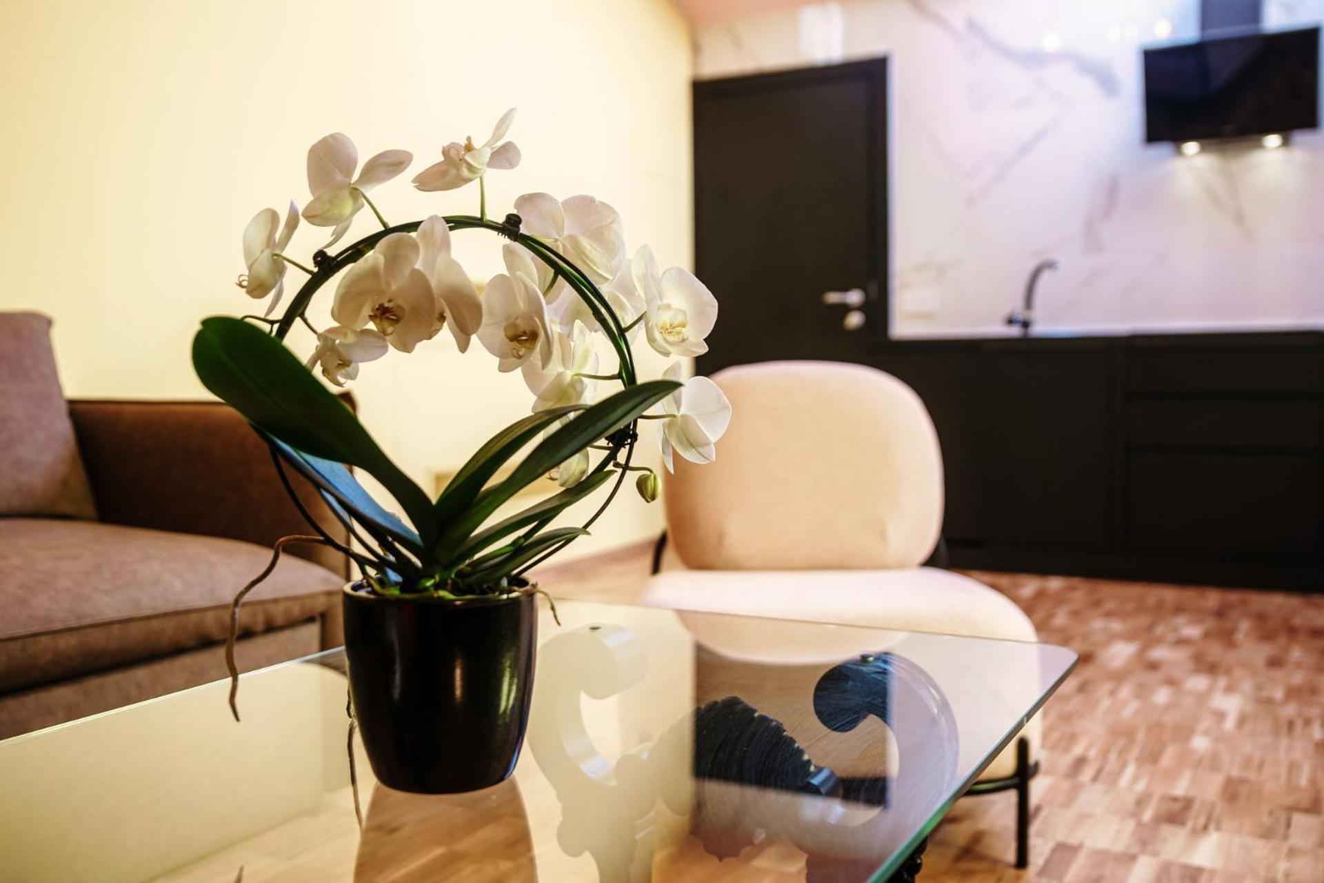 Aurum - Como Luxury Suites Rum bild